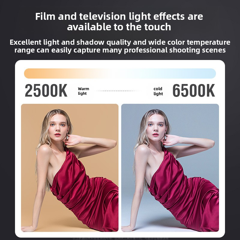 ZU80 High-Power COB Fill Light - Lighting Gallery 리뷰 및 가격