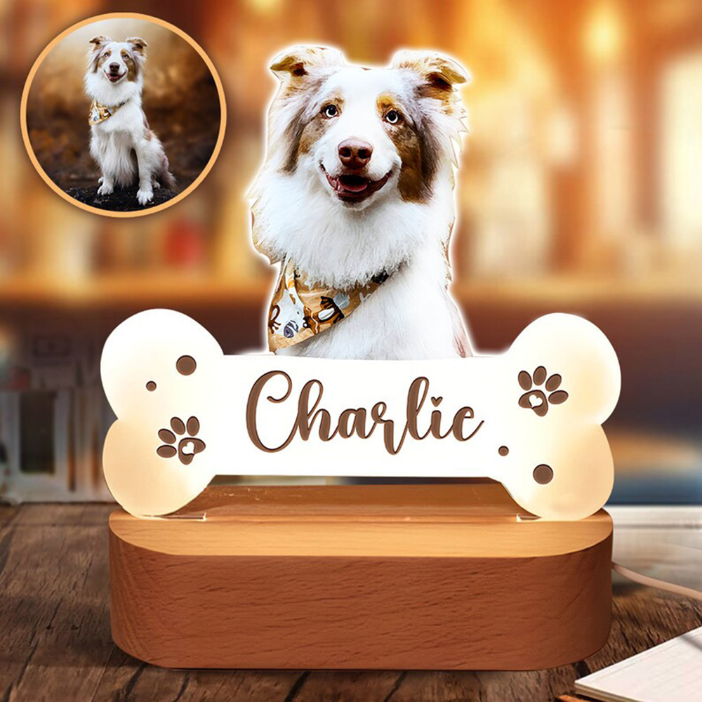 Acrylic Pet Growth Memory Nigh - Lighting Decor Photos 리뷰 및 가격