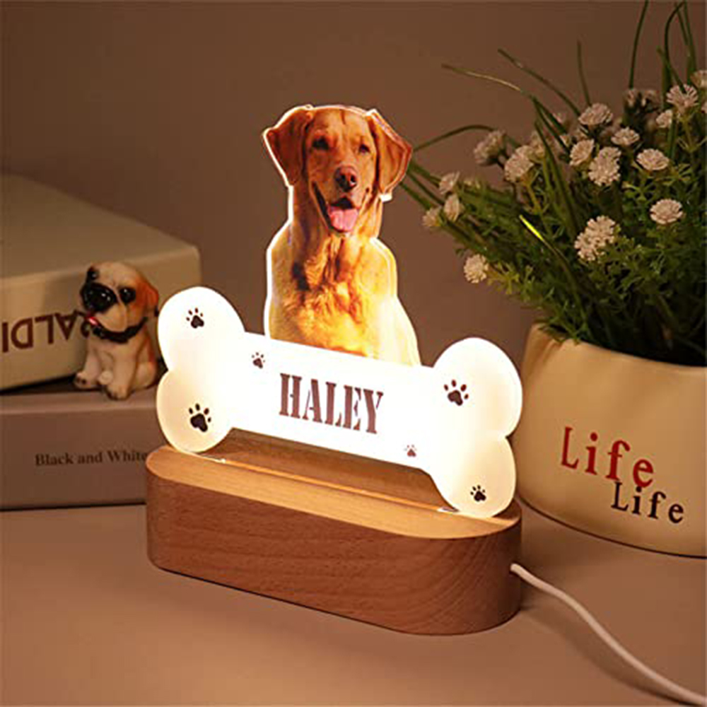 Acrylic Pet Growth Memory Nigh - Lighting Decor Photos 리뷰 및 가격