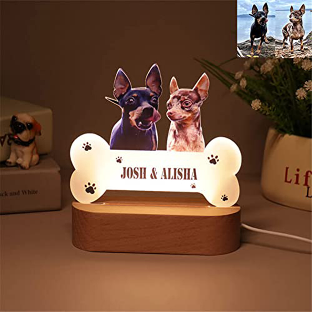 Acrylic Pet Growth Memory Nigh - Lighting Decor Photos 리뷰 및 가격