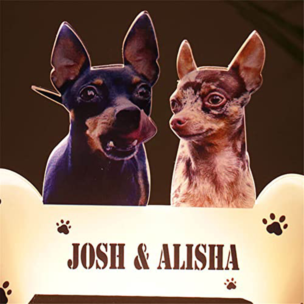 Acrylic Pet Growth Memory Nigh - Lighting Decor Photos 리뷰 및 가격