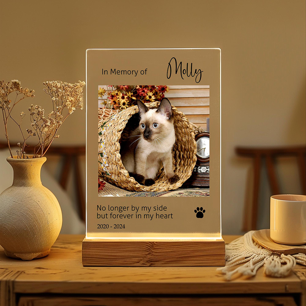 Custom Pet Photo LED Night Lig - Lighting Decor Photos 리뷰 및 가격