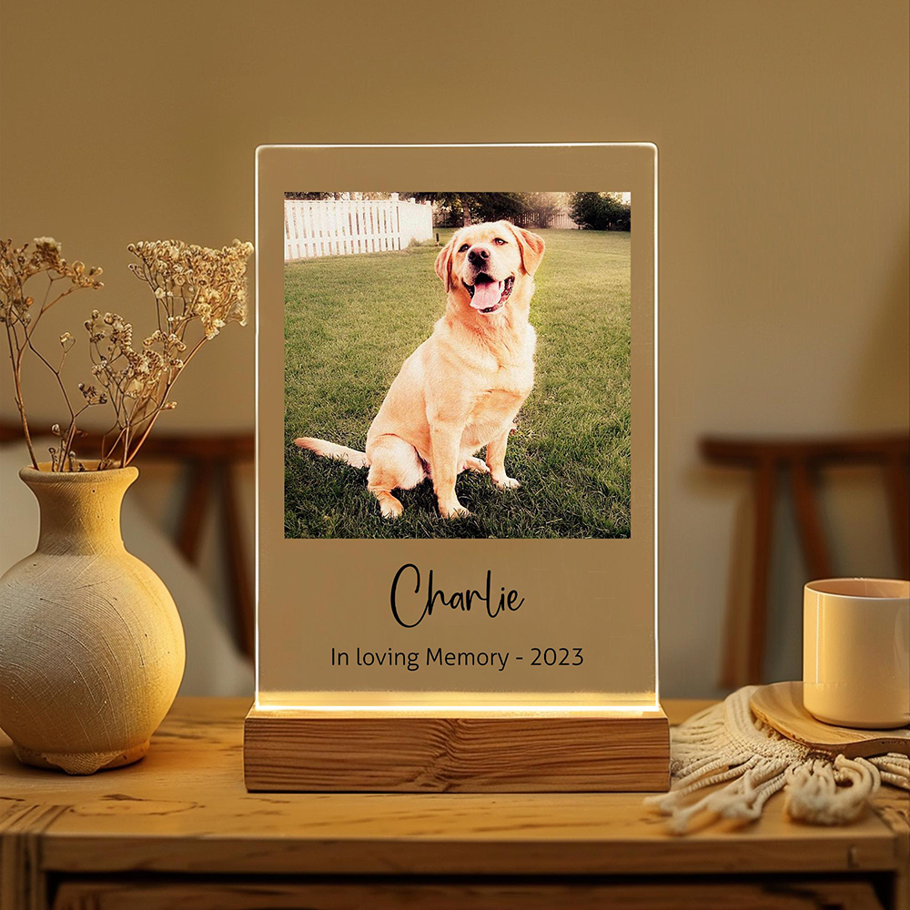 Custom Pet Photo LED Night Lig - Lighting Decor Photos 리뷰 및 가격