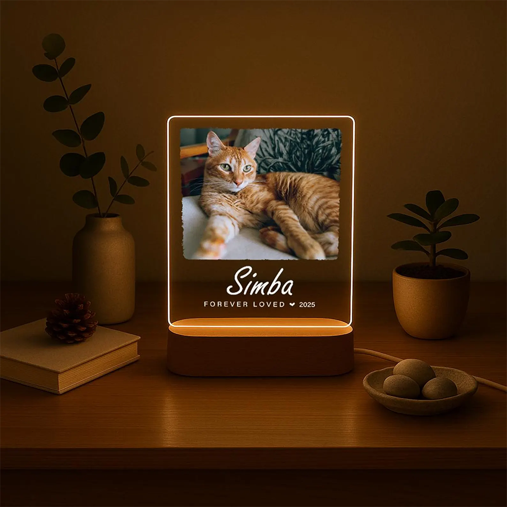 Custom Pet Photo LED Night Lig - Lighting Decor Photos 리뷰 및 가격
