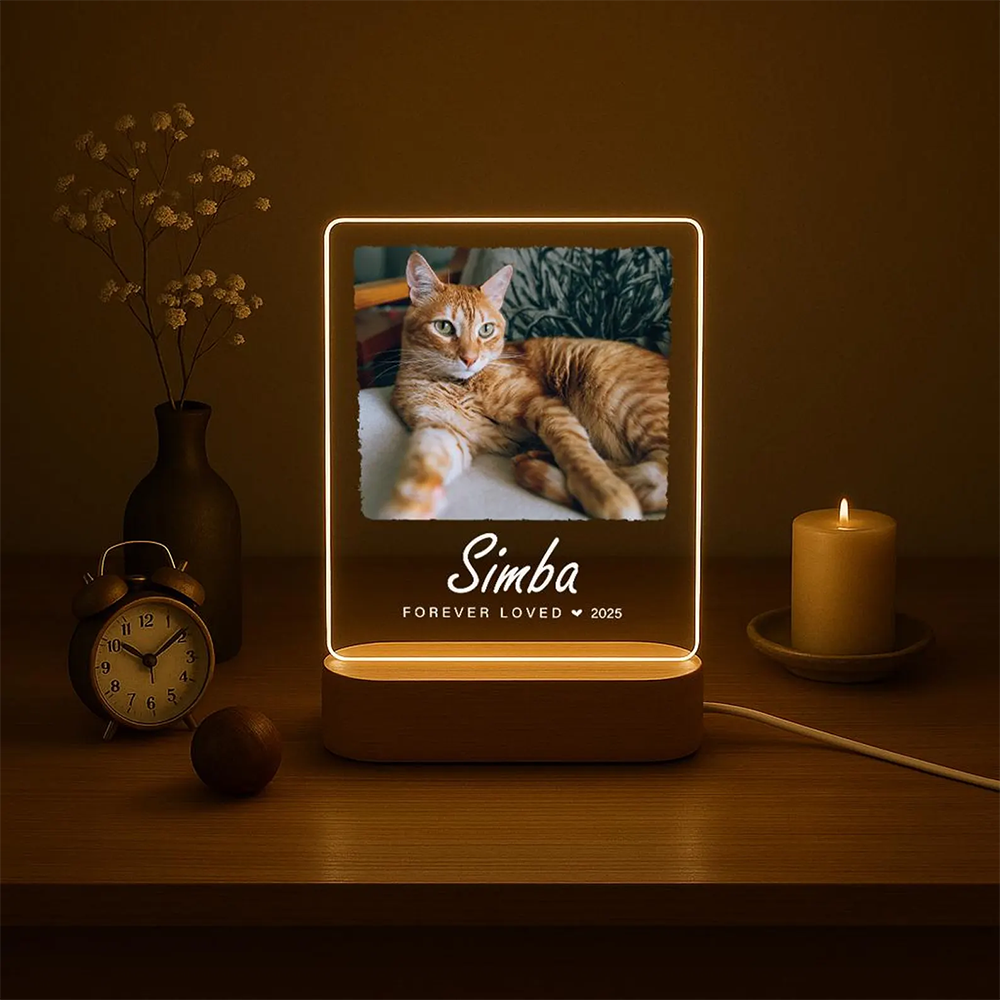 Custom Pet Photo LED Night Lig - Lighting Decor Photos 리뷰 및 가격